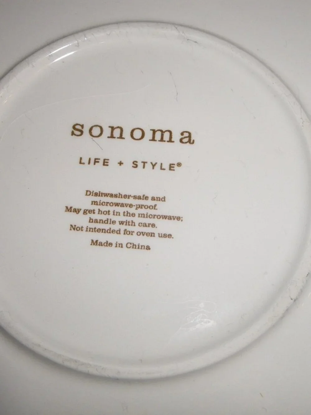 Large Sonoma Tortilla Chips & Salsa Serving Bowl - Super Cute!